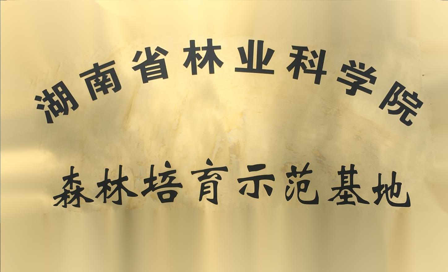 湖南省林业科学院 森林培育示范基地（牌）